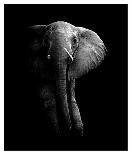 He Walks Under An African Sky-null-Mounted Giclee Print