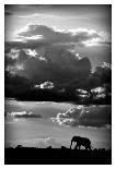 He walks under an African Sky-WildPhotoArt-Framed Art Print