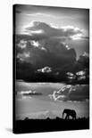 He Walks Under An African Sky-null-Mounted Giclee Print