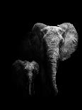 Elephant!-null-Mounted Giclee Print