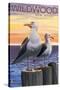 Wildwood, New Jersey - Seagulls-Lantern Press-Stretched Canvas