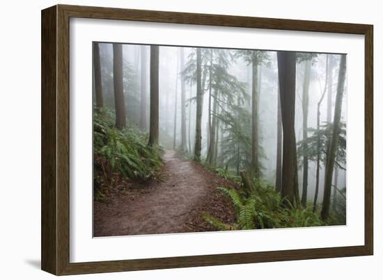 Wildwood Trail In Forest Park. Portland, Oregon-Justin Bailie-Framed Photographic Print