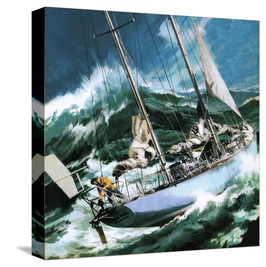 Stretched Canvas Print, , large