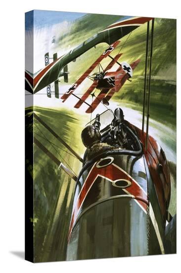 Stretched Canvas Print, , large