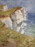 Beachy Head, Ball, 1906-Wilfrid Ball-Framed Art Print