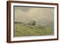Brown Frame