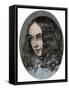 Framed Canvas