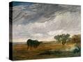 Stretched Canvas