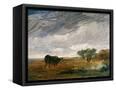 Canvas Black