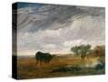 Stretched Canvas