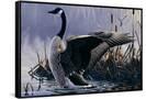 Canvas Black