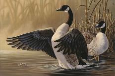 1994 Canada Geese-Wilhelm Goebel-Giclee Print