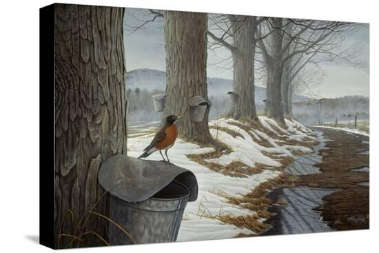 Stretched Canvas Print, , large