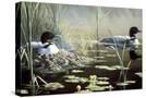 Stretched Canvas