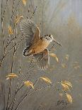 Wings of Autumn - Bald Eagle-Wilhelm Goebel-Giclee Print