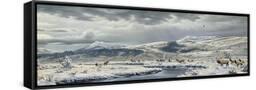 Canvas Black