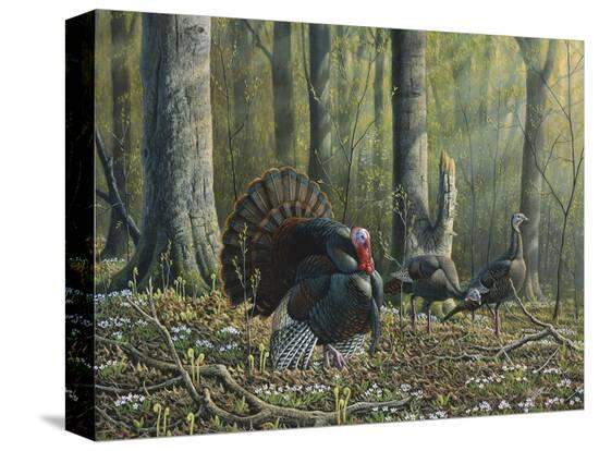 Stretched Canvas Print, , large