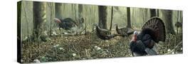 Stretched Canvas
