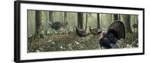 Black Frame