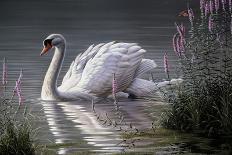 Summer Idyll - Mute Swan-Wilhelm Goebel-Giclee Print