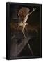 Essential Black