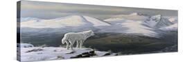 Stretched Canvas
