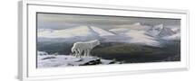 White Frame