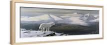 Brown Frame