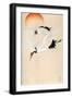 Black Frame