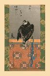 Falcon, c1790, (1886)-Wilhelm Greve-Giclee Print