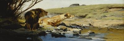 A Lion and Lioness at a Stream-Wilhelm Kuhnert-Stretched Canvas
