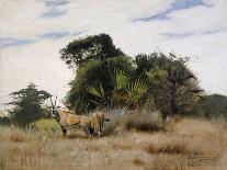 On the Lookout-Wilhelm Kuhnert-Giclee Print