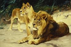 A Lion and Lioness at a Stream-Wilhelm Kuhnert-Framed Giclee Print