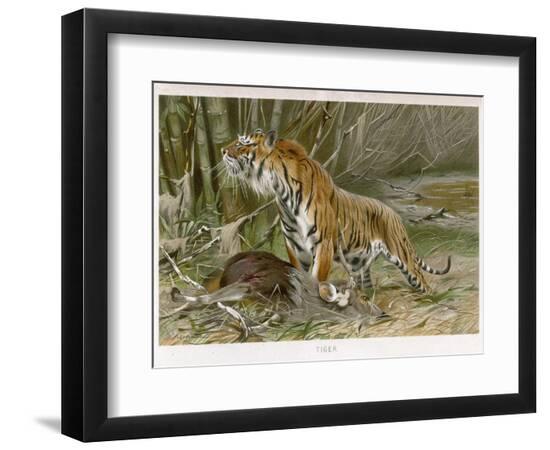 Premium Photographic Print, , large