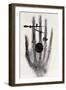 Wilhelm Roentgen's X-Ray Photograph of His Wife's Hand, 1896-Wilhelm Conrad Rontgen-Framed Giclee Print