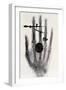 Wilhelm Roentgen's X-Ray Photograph of His Wife's Hand, 1896-Wilhelm Conrad Rontgen-Framed Giclee Print