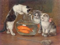 Best of Friends, 1906-Wilhelm Schwar-Stretched Canvas