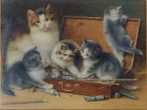 Mother Cat and Her Kittens Playing in a Paint Box-Wilhelm Schwar-Framed Giclee Print