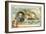 Wilhelm Von Tegetthof, Austrian Admiral, and the Battle of Lissa, 1866-null-Framed Giclee Print