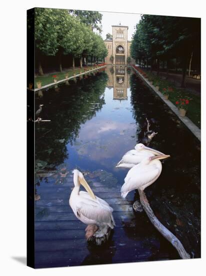 Wilhelma Zoo and Botanical Gardens, Stuttgart, Baden Wurttemberg, Germany-Yadid Levy-Stretched Canvas