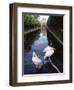 Wilhelma Zoo and Botanical Gardens, Stuttgart, Baden Wurttemberg, Germany-Yadid Levy-Framed Photographic Print