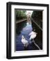 Wilhelma Zoo and Botanical Gardens, Stuttgart, Baden Wurttemberg, Germany-Yadid Levy-Framed Photographic Print