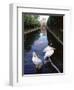 Wilhelma Zoo and Botanical Gardens, Stuttgart, Baden Wurttemberg, Germany-Yadid Levy-Framed Photographic Print