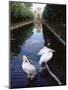 Wilhelma Zoo and Botanical Gardens, Stuttgart, Baden Wurttemberg, Germany-Yadid Levy-Mounted Photographic Print