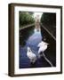 Wilhelma Zoo and Botanical Gardens, Stuttgart, Baden Wurttemberg, Germany-Yadid Levy-Framed Photographic Print