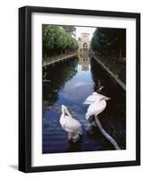 Wilhelma Zoo and Botanical Gardens, Stuttgart, Baden Wurttemberg, Germany-Yadid Levy-Framed Photographic Print