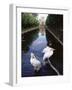 Wilhelma Zoo and Botanical Gardens, Stuttgart, Baden Wurttemberg, Germany-Yadid Levy-Framed Photographic Print