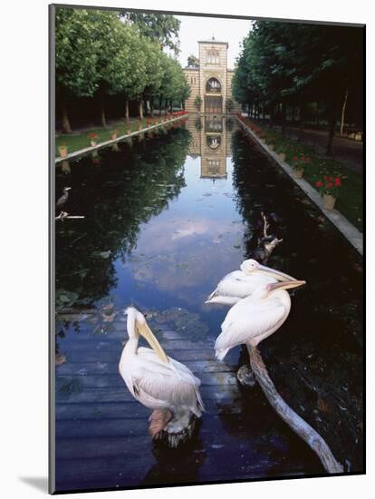 Wilhelma Zoo and Botanical Gardens, Stuttgart, Baden Wurttemberg, Germany-Yadid Levy-Mounted Photographic Print