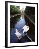 Wilhelma Zoo and Botanical Gardens, Stuttgart, Baden Wurttemberg, Germany-Yadid Levy-Framed Photographic Print