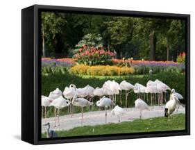 Wilhelma Zoo and Botanical Gardens, Stuttgart, Baden Wurttemberg, Germany-Yadid Levy-Framed Stretched Canvas